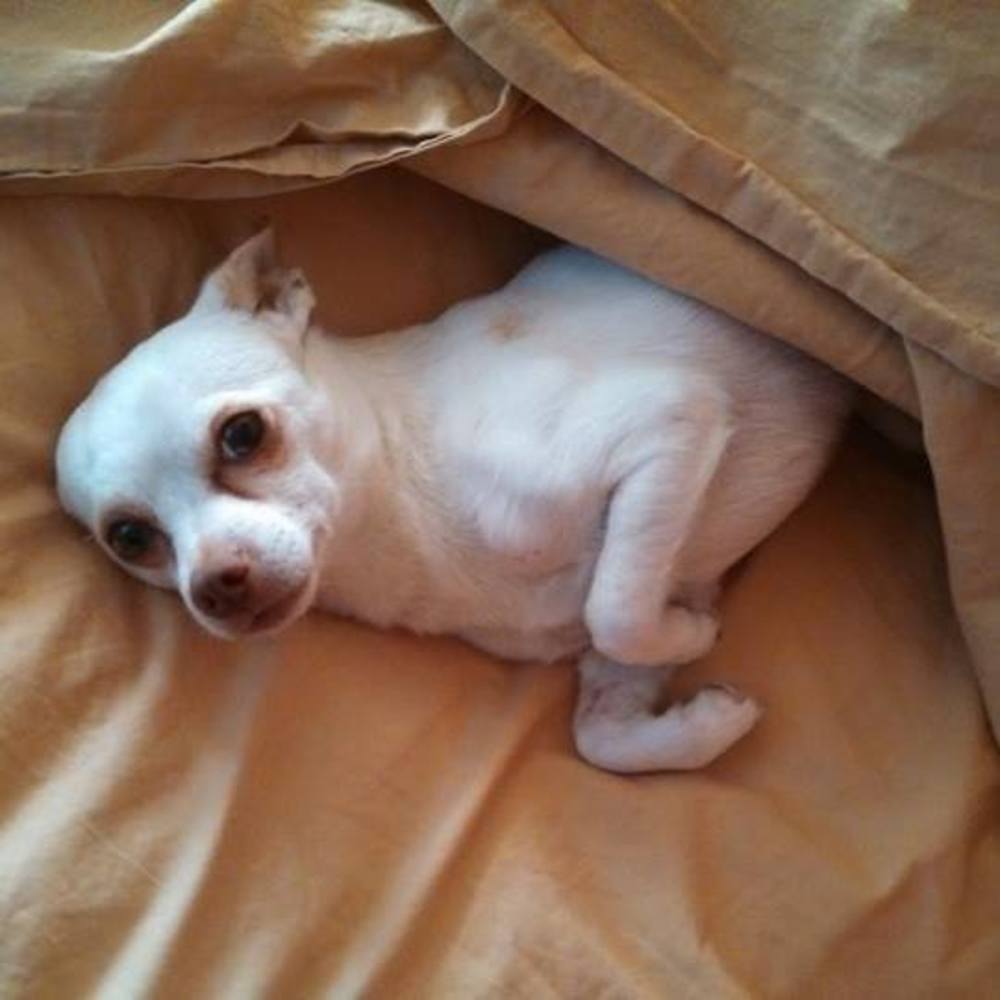 Meet your Posher, Patricia